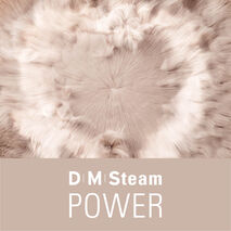 La tecnologia Dry Microfine Steam (DMS) di Laurastar